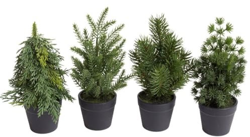 Botanic-Haus künstliches Mini- Tannenbaum Sortiment (4 Stück Sortiert) im schwarzen Kunststofftopf