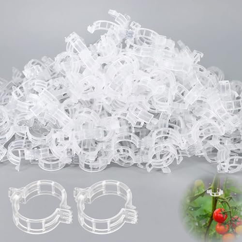 300 Stück Pflanzenclips – Schnellverschluss-Pflanzenklammern für Tomaten, Gurken & Kletterpflanzen, wiederverwendbar & UV-beständig, sanfter Halt für Bambusstäbe & Rankhilfen – Gewächshaus & Gartenzub