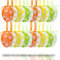 Helmecke & Hoffmann 24 Bunte Ostereier Schleife zum Aufhängen | Deko-Eier mit Blümchen-Dekor | Grün Gelb Orange | Osterdeko | Dekoostereier ca. 6 cm