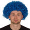 Redstar Fancy Dress - Afro-Perücke für Erwachsene - Locken - Party Clown Kostüm - Accessoire - Blau