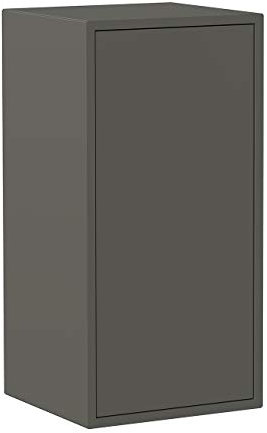 Iconico Home Cubo de pared, 1 estante, con puerta de apertura a presión