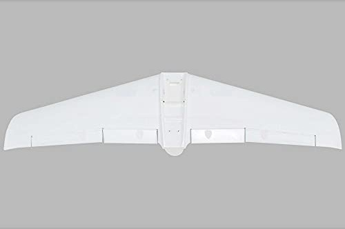 E-Flite Painted Wing V1200