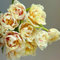 12 pcs tulpenzwiebeln winterhart mehrjährig, Wildtulpen Zwiebeln, ausgefallene geschenke kübelpflanzen tulip tulpenzwiebeln kaufen - Tulipa gesneriana - steingartenpflanzen winterhart,