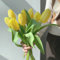 20 Pcs Tulpenzwiebeln Kaufen - Tulipa Gesneriana - Tulpen Zwiebeln, Geschenke Für Gartenfreunde, Wildflower Summer Tulpenzwiebel, Blumenzwiebeln Tulpen, Blumenzwiebeln Mehrjährig Winterhart