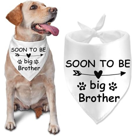 Soon to be Hundehalstuch Big Brother