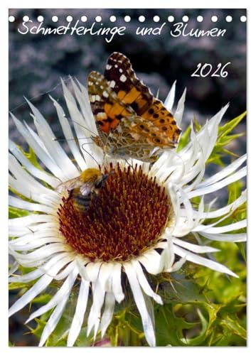 Schmetterlilnge und Blumen (Tischkalender 2026 DIN A5 hoch), CALVENDO Monatskalender: Unsere heimischen Schmetterlinge (CALVENDO Natur)