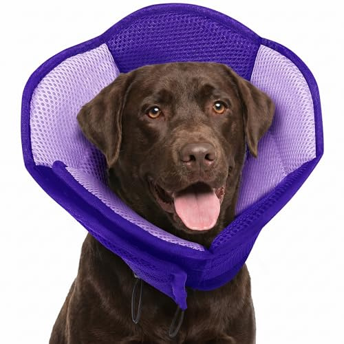 AOFITEE Halskrause Hund Weich Verstellbarer Hundekragen Leckschutz Nach OP | Atmungsaktiver Hundehalsband Schutzkragen für Kleine Hunde Elisabethanischer Vorbeugung von Biss- und Leckwunden, Lila XL