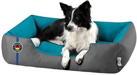 BedDog Hundebett XL - Hundekissen - Hundekorb - Hundecouch - Hundesofa - Bezug abziehbar, Waschbar, für Mittel-Große Hunde