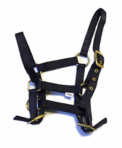 Rhinegold 0 Nylon Foal Headcollar-Navy Halfter für Fohlen, Einheitsgröße