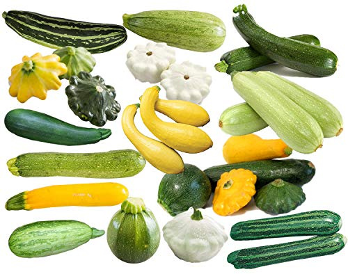This is a Mix 50 Zucchini and Squash Mix Seeds 12 Varieties Non-GMO Delicious Grown in USA. Rare Super Profilic Cucurbita Pepo