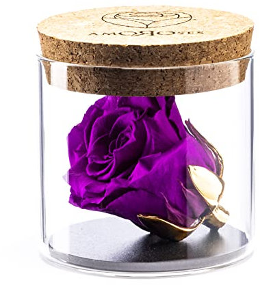 Amoroses Bijou - Rosa Stabilizzata Eterna con calice placcato oro 24K in barattolo di vetro | Idea Regalo (Rosa Viola)