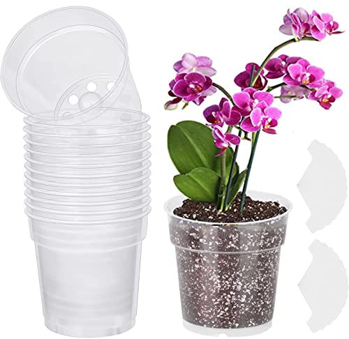 LATERN 30Pcs Clear Flower Pots, 11.5CM Plastic Orchid Pot Hard Nursery Planter Plant Seedlings Pots with Drainage Holes for Indoor Outdoor Garden Balcony - with 30Pcs Plant Labels