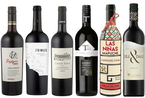 Assorti Dégustation - Assortiment de 6 vins rouges du Nouveau Monde - Argentine, Californie, Chili, Australie, Afrique du Sud (6 x 0,75L)