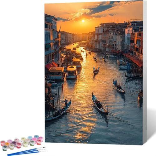 Peinture par Numéro Kits pour Adulte, Peinture Numero Peinture à l'huile Peindre par Nombre Kits avec Pinceaux et Acryliques Bricolage Peintures Kits pour la Décoration de la Maison 40x50cm L-L