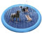 Alfombrilla Refrescante para Perros - Colchoneta para Piscina | Juguetes para Exteriores en Verano Niños Mascotas Fiestas Parques
