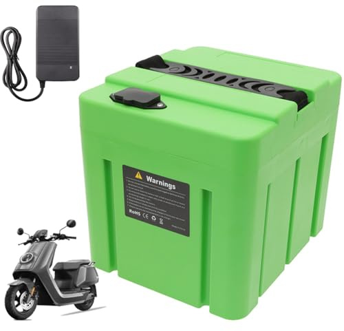 HJGHY 48v,12Ah, Batteria per Moto elettrica da 48 V 60 V 12 Ah 15 Ah 20 Ah 22 Ah 24 Ah Batteria agli ioni di Litio da 60 V 15 Ah 17,5 Ah per Motore per ciclomotore e Triciclo da 0-1200 W