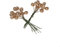Deko Beeren am Draht Altgold - Adventskranz - Weihnachtsschmuck - Beerenzweige – Geschenkdeko - ca. Ø 1 cm Beere x 7 cm Drahtlänge - 1 VE = 3 x 24 Stück - A105