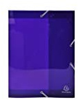 Exacompta 59776E Sammelbox Iderama mit Gummizug 40 mm breit aus Kunststoff mit Rückenschild für DIN A4 Archivbox Heftbox Dokumentenbox Zeichenbox Sammelmappe violett