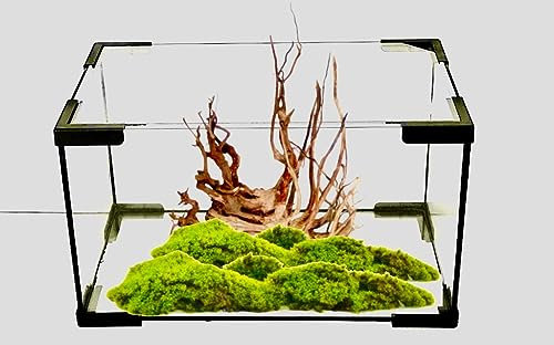 Akkua Pro 30 - Acuario Pecera de Cristal Pequeña de 10 Litros Con Tapa - Para Niños y Peces