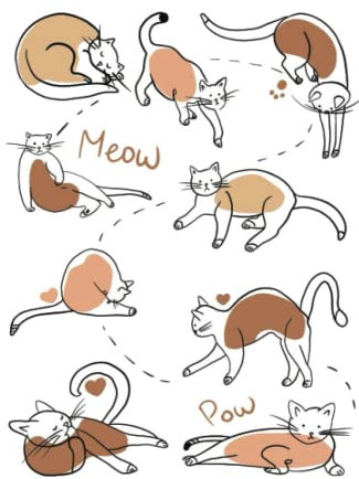 Cat Notebook