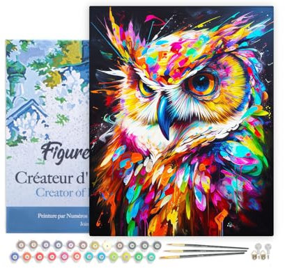 Figured'Art Peinture par Numéro Adulte avec Cadre Hibou Coloré Abstrait - Activité Manuelle Kit de Loisir Créatif DIY Numéro d'Art Complet Animaux - 40x50cm toile tendue sur châssis
