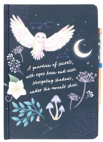 Something Different Night Owl Sodalite Diary and Pen (One Size) (Navy/Gold)