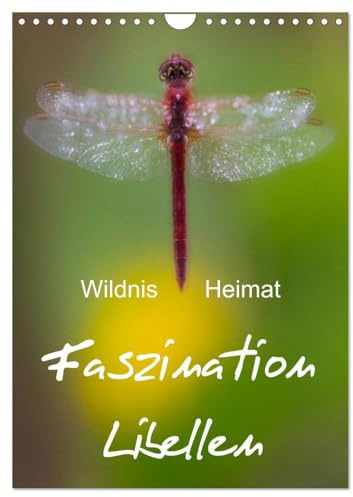 Faszination Libellen - Wildnis Heimat (Wandkalender 2026 DIN A4 hoch), CALVENDO Monatskalender: Makrofotografie der Extraklasse (CALVENDO Tiere)
