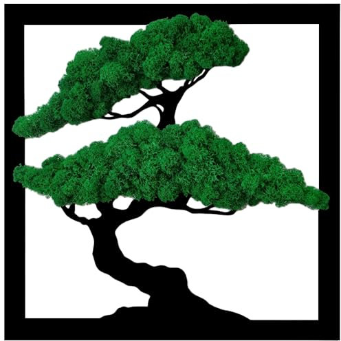 ProArts Moosbild Bonsai Baum Quadrat Dunkel - Moosbilder mit Rahmen 30x30cm - Mooswand Lebend Natürliches - Pflanzenbild Handgefertigt mit Dunkelmoos