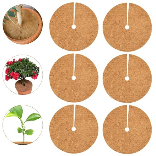 Vmxlso Kokosmatte Pflanzen 6 Stück, Mulchscheibe 35 cm, Kokosmatte Winterschutz für Pflanzen,Kokosfasermatte Rund für Topfpflanzen,Unkrautschutzmatte,Frostschutz Kälteschutz Schutz vor Nässe und Frost