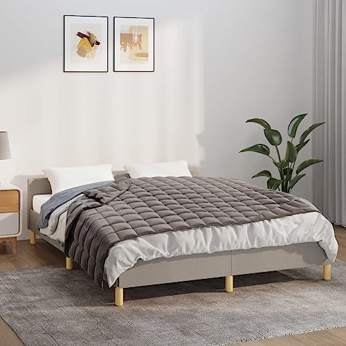 Tidyard Schwere Bettdecke Gewichtsdecke Schwere Decke,Entspannungsdecke Therapiedecke Grau 120x180 cm 5 kg Stoff