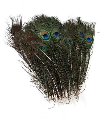 Blausky 20 Stück 25-30cm Natürliche Pfauenfeder,Künstliche Pfau Deko Schöne Augen Federn Pfauenfedern für Heimwerker Kleid Hüte Kostüm Hochzeit Party Blumenarrangement Heimdekorationen,Grün