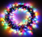 Christmas Concepts® 300 LED Chasing Lights - Indoor/Outdoor - 8 Function Control Box (Multi Colour)