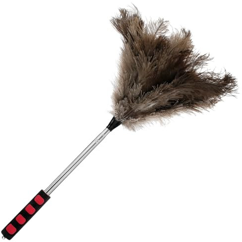Gatphy Teleskop-Staubwedel 100CM Straußenfedern Rostfrei Staubwedel aus Straußenfedern Weiche Beschaffenheit Räume Büros für Jalousien Wände