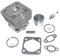 SAANICH Kit pistone cilindro da 40 mm for Oleo-Mac 741 BC420 BCF420 Sparta 42 44 420 440 441 4400 OM43 for EFCO 8410 DSF4200 EF4300 Stark 37 38 42 44