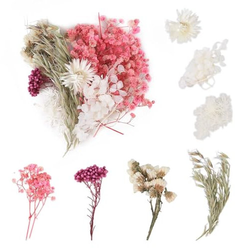 Aitsite Trockenblumen, Getrocknete Blumen, Trockenblumen Zum Basteln Trockenblumen Klein Trockenblumen Set ​für Kunst DIY Harz Scrapbooking Handwerk Karten Machen (Rosa Weiß)