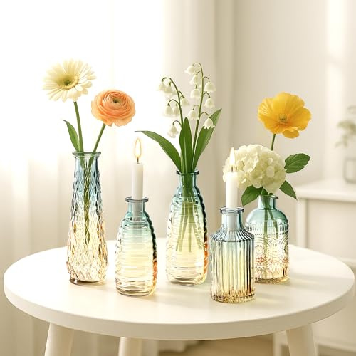 DOKKOME Vase Glas 5PCS Glasvase Set Glasvasen für Tischdeko Vase Klein Mini Vasen Tulpenvase für Home Hochzeit Party