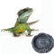 BUGUUYO Kleines graues Becken schleichtiere Aufbewahrungsbehälter für Reptilien Reptilienschalen Becken Reptilien-Spezialbecken Rundes Becken aus Kunstharz