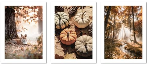 ARTFAVES® Poster Set - Herbst Momente 1-3-teilige Bildercollage Wohnzimmer, Schlafzimmer - moderne Wandbilder Natur - 30x40 cm - ohne Rahmen