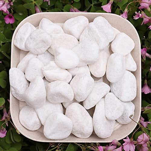 500G Pebbles Gravier,Gravier Blanc Decoratif Naturel,Gravier Jardin Pierres, Cailloux de Marbre Blanc Naturels Cailloux Décoratifs Blancs,pour Vase, Plantes en Pot, Jardin, Décoration d’Intérieur.