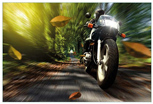 Wallario Küchenrückwand selbstklebend 90 x 60 cm, Motiv: Fahrendes Motorrad im Wald mit Herbstlaub | Spritzschutz abwischbar & pflegeleicht