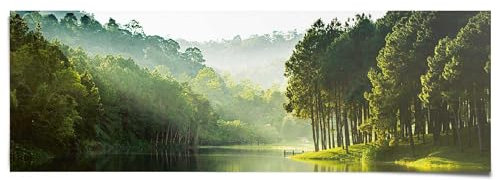 REINDERS Poster, Mystischer Waldsee, Schlafzimmer, Bilder, Wanddeko, Room Decor, 170 gr. glänzend Bilderdruckpapier, Grün, 53x158cm