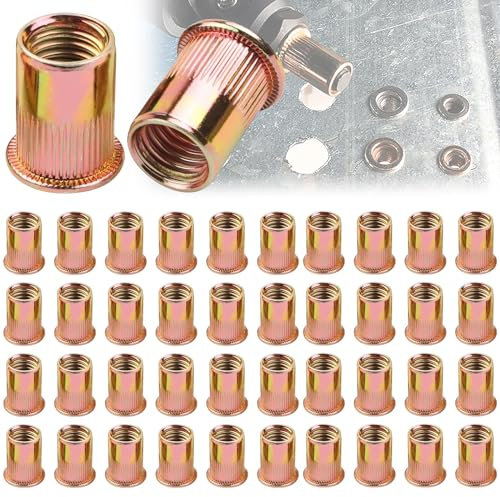 Mount Kumgang Pack of 100 Rivet Nuts M6 Galvanised Carbon Steel, Flat Head Rivet Nuts M6, Galvanised Rivet Nuts, Blind Rivet Nuts, Used for Metal Plates, Pipes, etc.