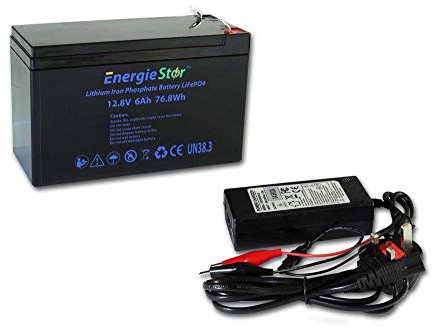 LOWENERGIE 6Ah LiFePo4 Battery 12.8V Lithium-Ion Iron Phosphate 12V Leisure Solar Caravan (12.8V, 77Wh, Battery plus charger)
