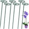 OAHAO 6 Pack Plant Stakes for Flowers, Metal Single Stem Plant Support, Plant Cage Support Ring with 10 pcs Plant Clips for Climbing Plants Garden Stakes for Amaryllis Orchid Lily Rose Tomatoes(40cm)