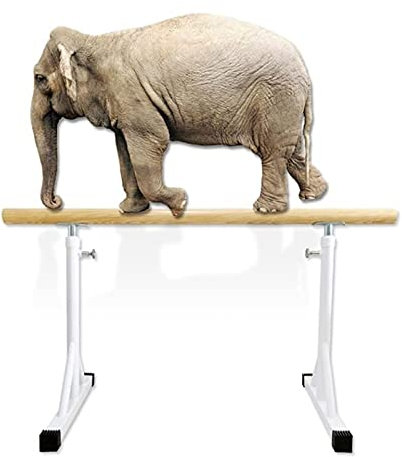 Ballettstange, Ballettstange, tragbar, für Zuhause, 80–120 cm, Ballettstange für Kinder, freistehend, aus Holz, verstellbar, robust, zum Tanzen, Dehnen, Ballett für Tanz, Barre, Fitness