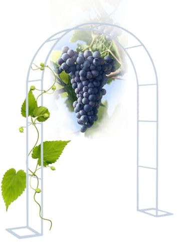 Arco da Giardino in Metallo, Arco per Rose Rampicanti, Pergolato da Giardino con Base, 80x200 120x220 200x230 320x230cm Arco per Rampicanti per UVA, Pomodori, Cetrioli(Bianco,Width 200xHeight 220cm)