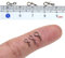 GREATFISHING 150pc Fly Fishing Snaps Stainless Steel Quick Change, Fast Easy Fly Hook Snap, 3 Size Combo Hook Snaps