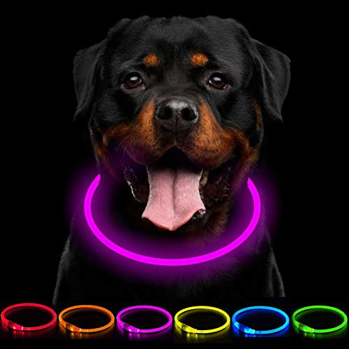CCWW LED Leuchthalsband Hunde Halsband USB wiederaufladbar - Längenverstellbarer Haustier Sicherheit Kragen für Hunde und Katzen- 3 Modus