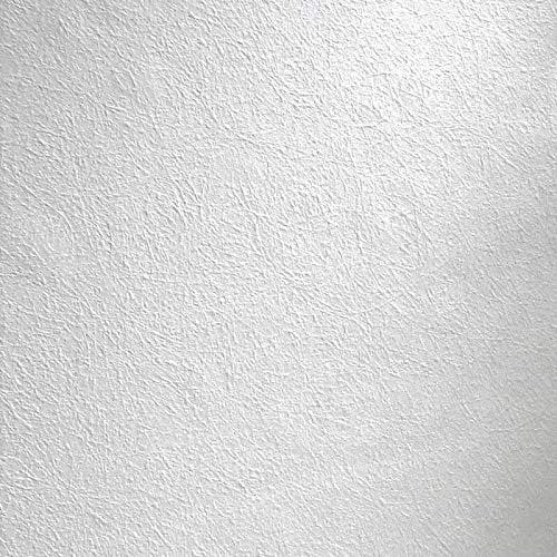 RD735 - Anaglypta Stipple Effect White Paintable Wallpaper