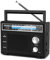 PRUNUS J-136 AM/FM Radio Portatile, Radiolina Portatile Alimentata da Batterie o Alimentazione CA, Radioline Portatili con Jack AUX/Microfono per Casa, Cucina, Tavolo (Nero)